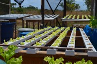 DIA MUNDIAL DA ÁGUA - Projetos nos campi agrícolas do IFRR fazem uso sustentável e reúso da água
