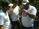 Pesquisador do IFRR defende tese sobre praga registrada apenas em Roraima